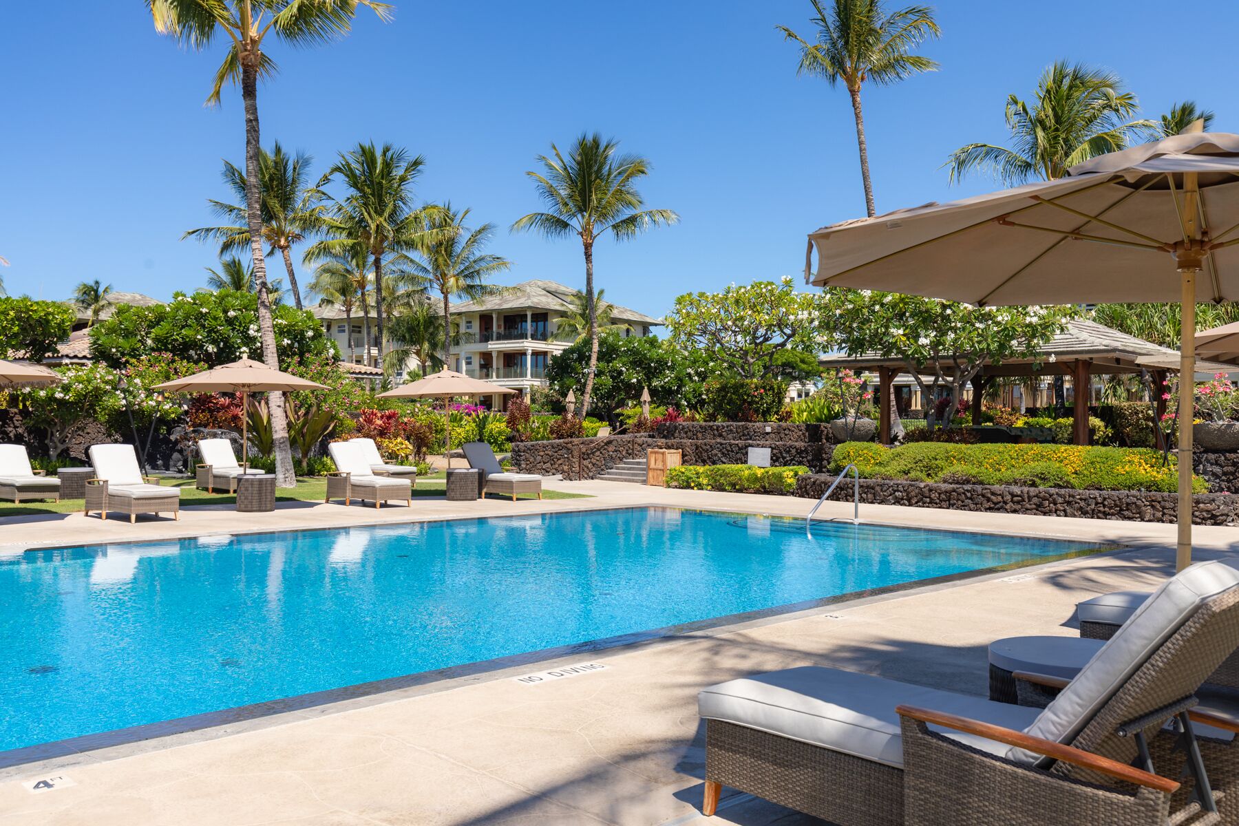 Una piscina al aire libre, sombrillas, sillones reclinables de piscina