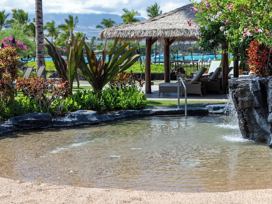 Outdoor pool, pool umbrellas, pool loungers