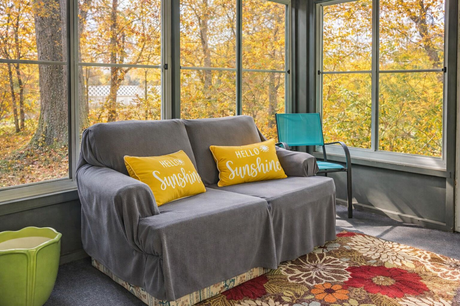 TV, DVD player, books, video library
