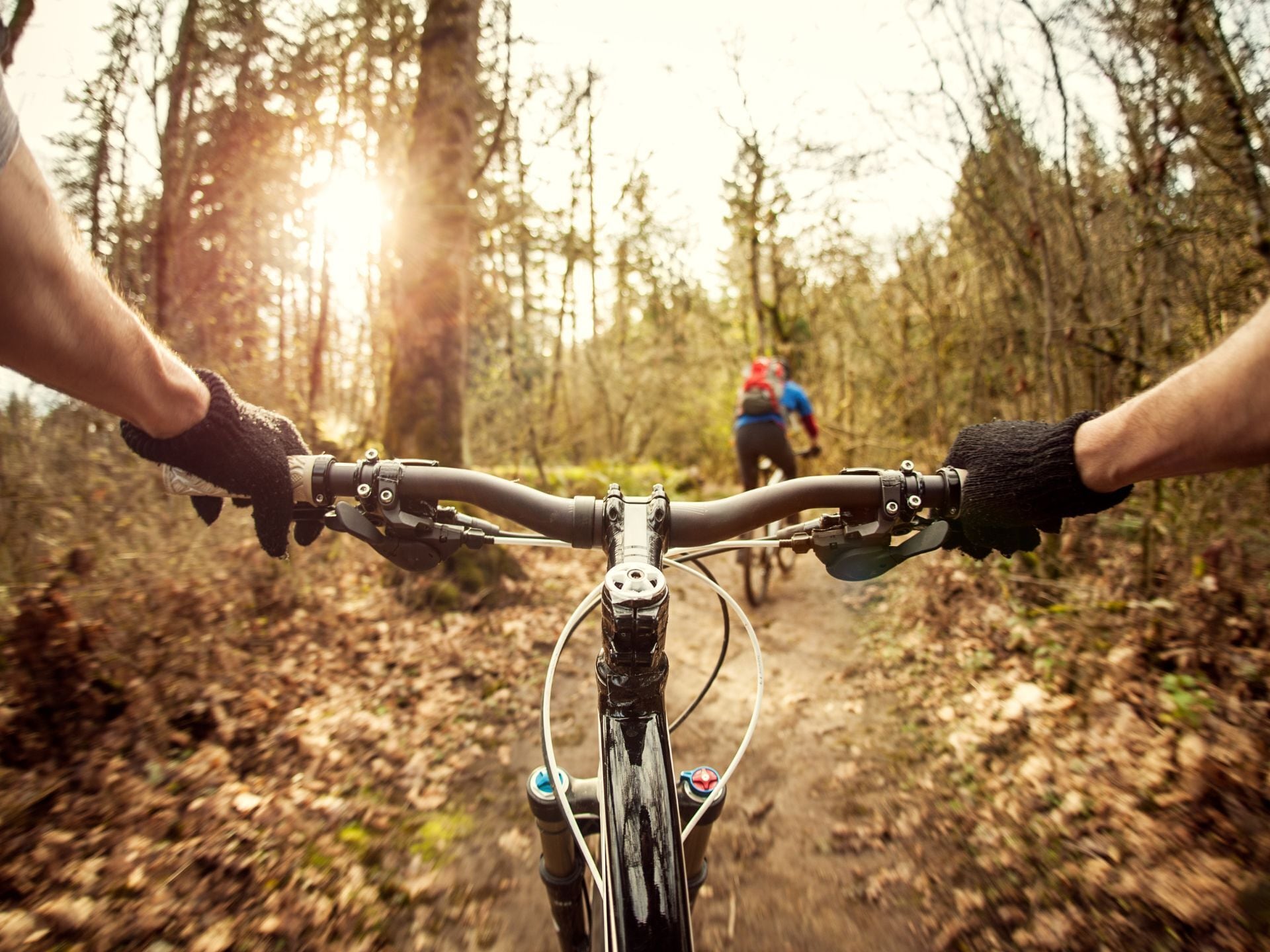 A mountain bike trail in a forested area with sunlight filtering through the trees.
