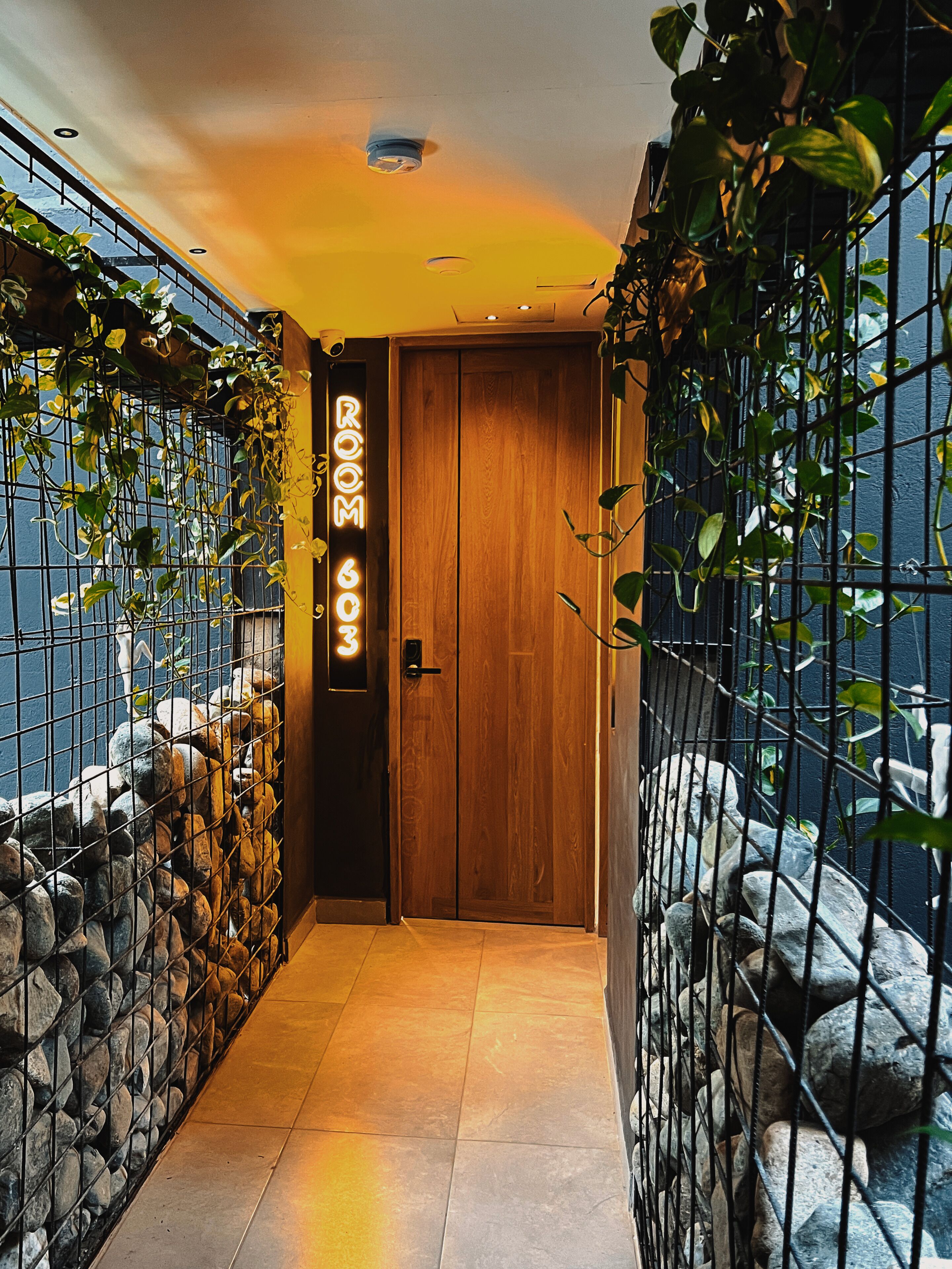 Foto - Hotel Zelva Negra