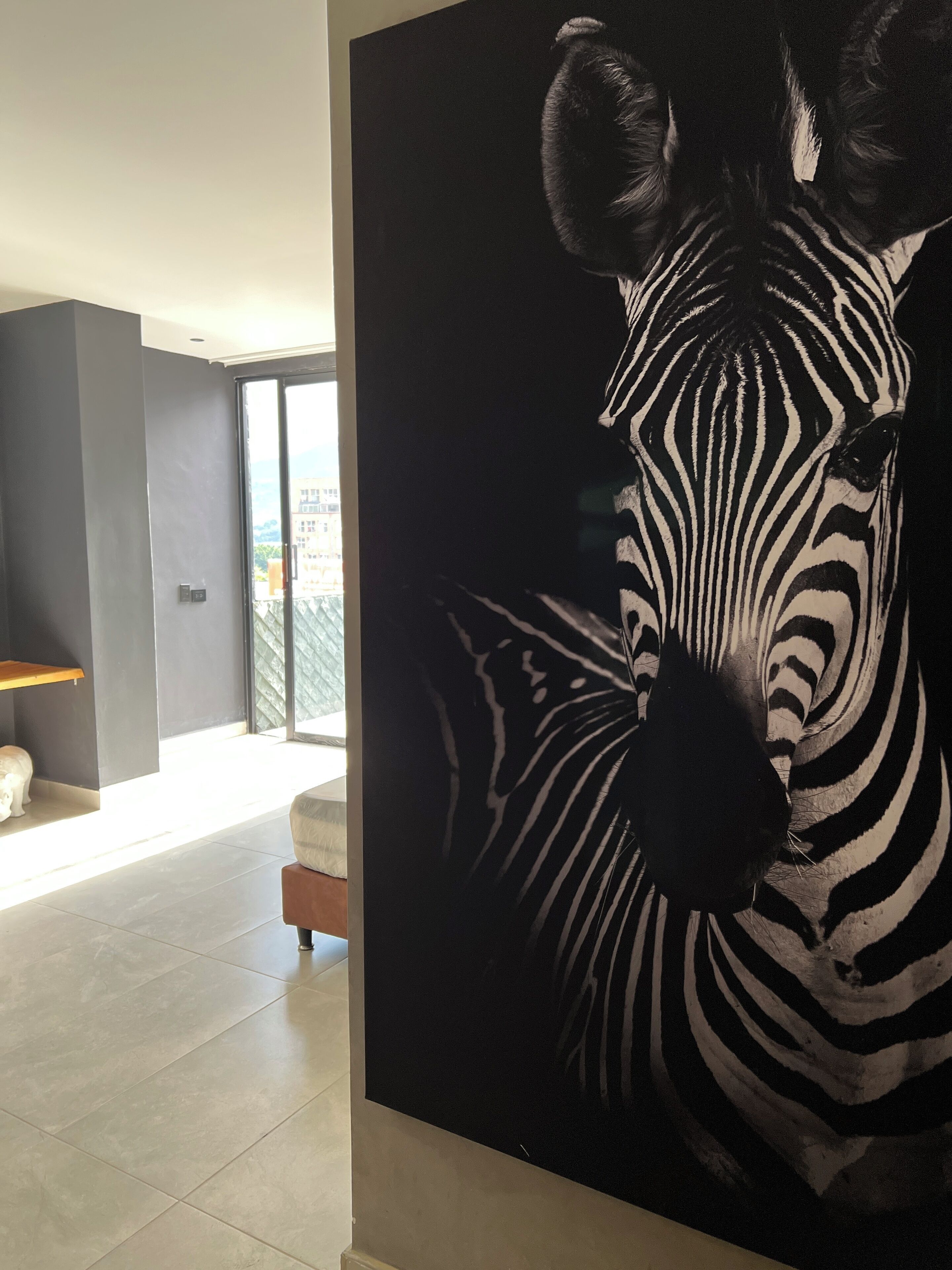 Foto - Hotel Zelva Negra