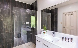 Shower, hair dryer