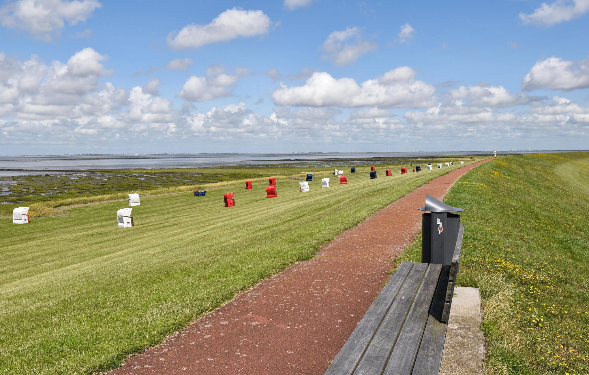 A pathway leading through a grassy area with a body of water in the background.