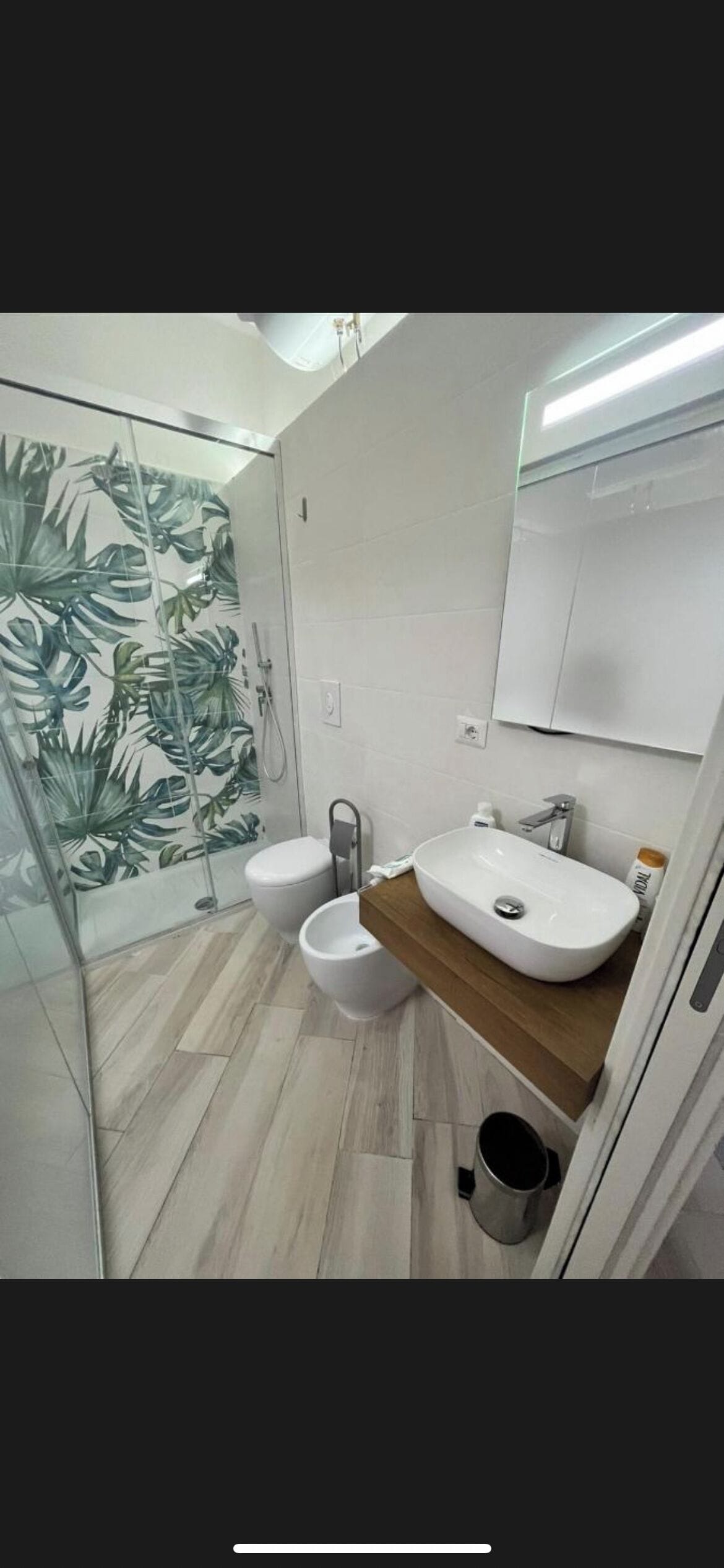 Haartrockner, Bidet, Handtücher, Seife