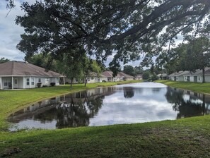 Un barrio residencial con casas alineadas a lo largo de un canal estrecho.