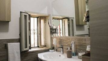 Shower, hair dryer, bidet, towels