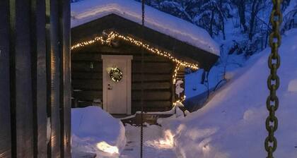 4 bedroom nice home in Hemsedal