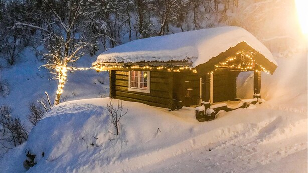 Eine Holzhütte mit verschneitem Dach und Fenster, umgeben von schneebedeckten Bäumen.