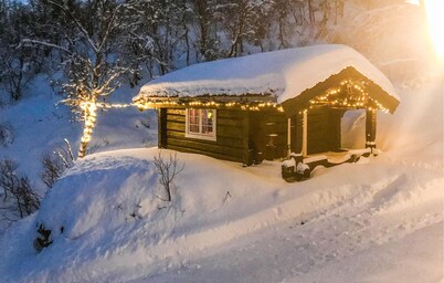 4 bedroom nice home in Hemsedal
