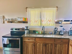 Oven, stovetop, blender, cookware/dishes/utensils - Odyssey Villa (Roatan)
