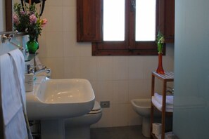 Regadera, secadora de cabello, bidet 