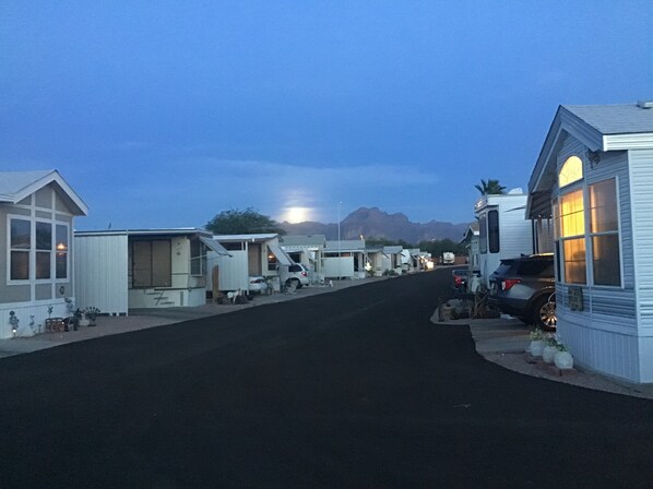 Property grounds - Close to Superstition Mountains Wilderness and Lost Dutchman State Park (Apache Junction)