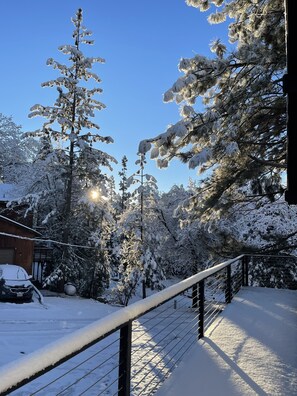 Property grounds - Crane Valley Lodge (Bass Lake)