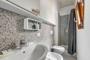 Shower, hair dryer, bidet, towels