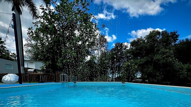 Une piscine d’eau cristalline, entourée d’une végétation luxuriante et agrémentée d’un palmier.