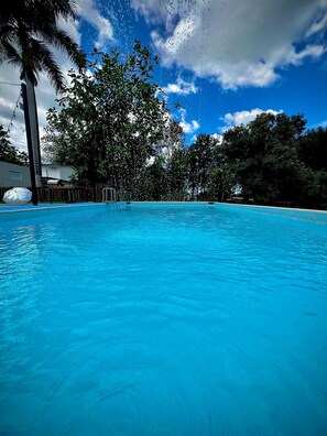 A clear blue swimming pool surrounded by lush greenery and a palm tree.