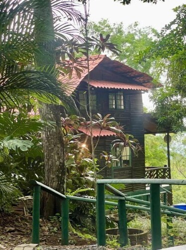 Log cabin. Wooden soul dressed in jungle pet friendly