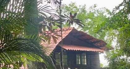 Log cabin. Wooden soul dressed in jungle pet friendly