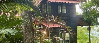 Log cabin. Wooden soul dressed in jungle pet friendly