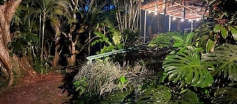 Log cabin. Wooden soul dressed in jungle pet friendly