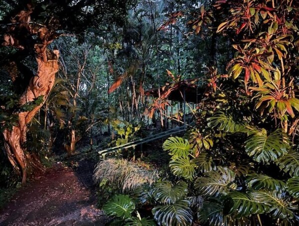 Jardines del alojamiento