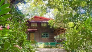 Una casa de madera rústica con techo rojo, rodeada de vegetación exuberante y un sendero de tierra que lleva a la entrada.
