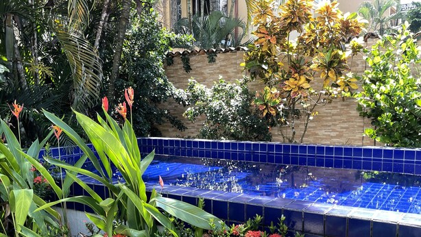 A garden with a blue tiled pool surrounded by various plants and flowers. - Villa 1 minute walking to beach with pool A/C pet friendly (Jaco)