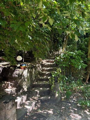 Property grounds - Cosy Calme (Caluire-et-Cuire)