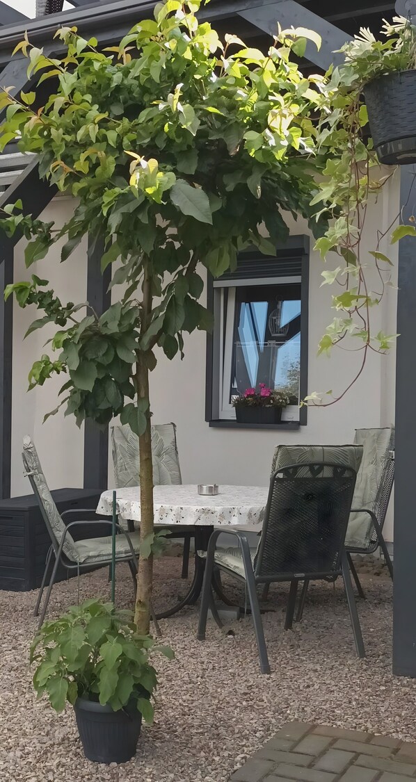 Un espace patio avec une table et des chaises, une plante en pot et une fenêtre donnant sur un beau paysage.