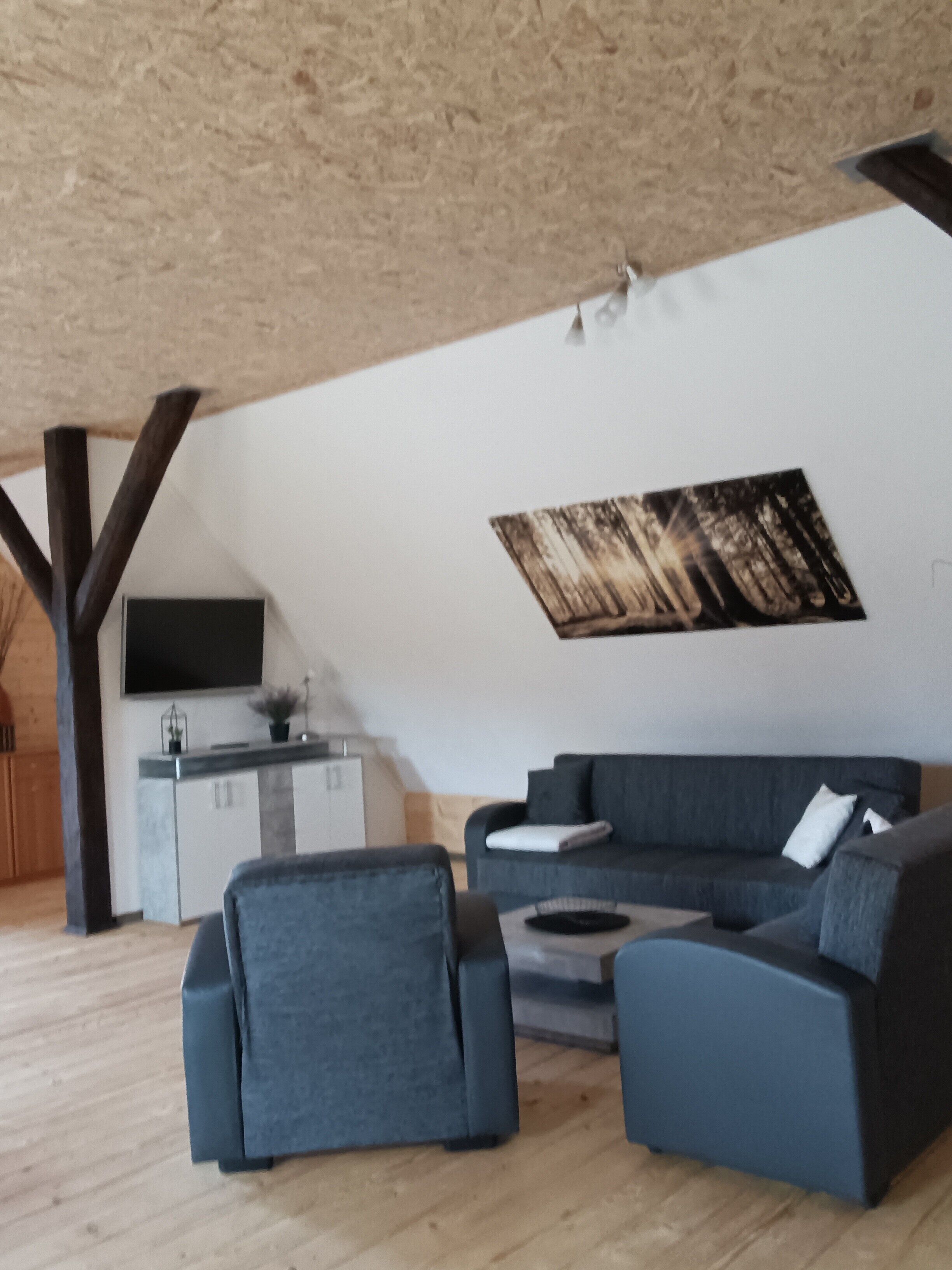 Fernseher