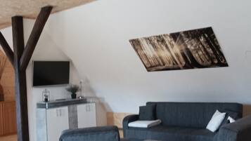 Fernseher