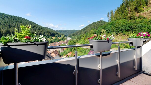 Un balcón con plantas en macetas y vistas a un valle.