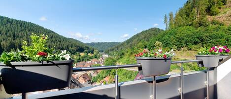 Terrain de lâhĂ©bergement