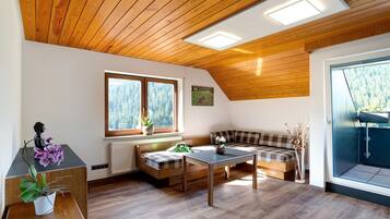Fernseher, Kamin