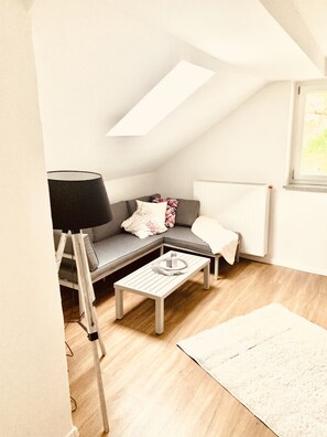 Fernseher