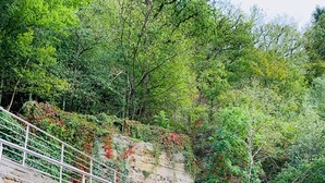 A stone staircase with metal railings leading up a rocky hillside, surrounded by lush greenery. - Apartment 'Felix Living 7' with Private Terrace and Wi-Fi (Passau)