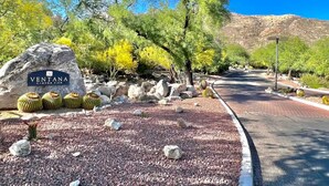 A sign for Ventana Canyon View with a paved road, cacti, and trees in the foreground. - Canyon Vista 🌵3br Retreat: Views, Hiking, Birds, Heated Pools, Spas, Court, Gym (Tucson)