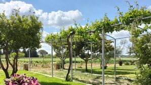 Een tuin met een pergola, plantenpotten en een gazon.