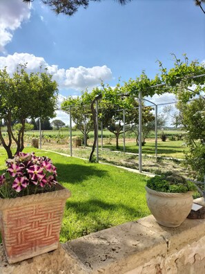 Área da propriedade