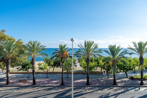 A coastal promenade with palm trees, a bench, and a clear view of the sea.