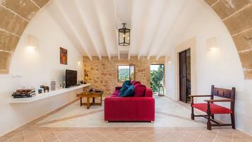 Tv, eldstad och en stereo