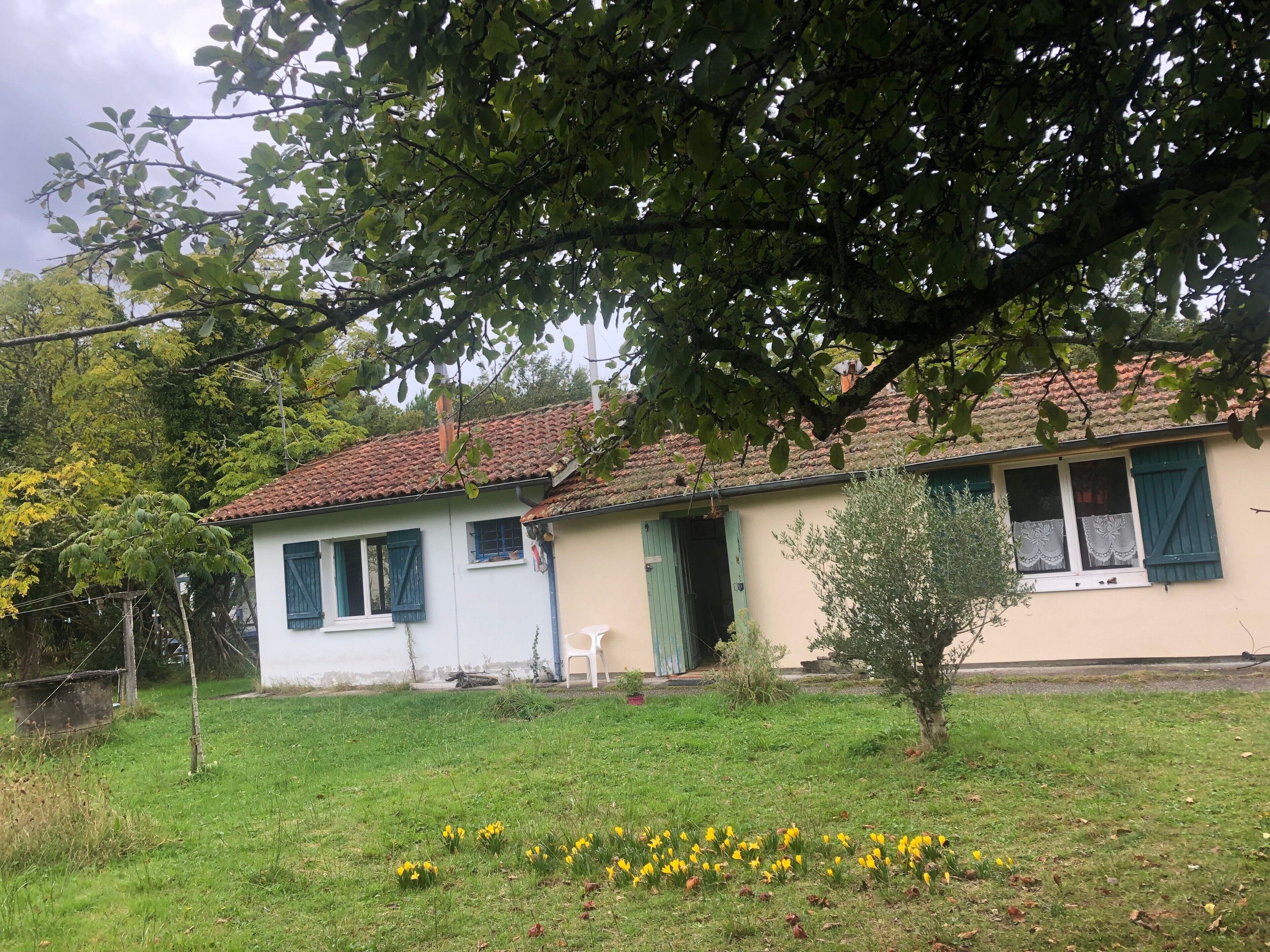 Une maison avec un toit en tuiles, un petit jardin devant avec de l’herbe et des fleurs jaunes, et un arbre au premier plan.