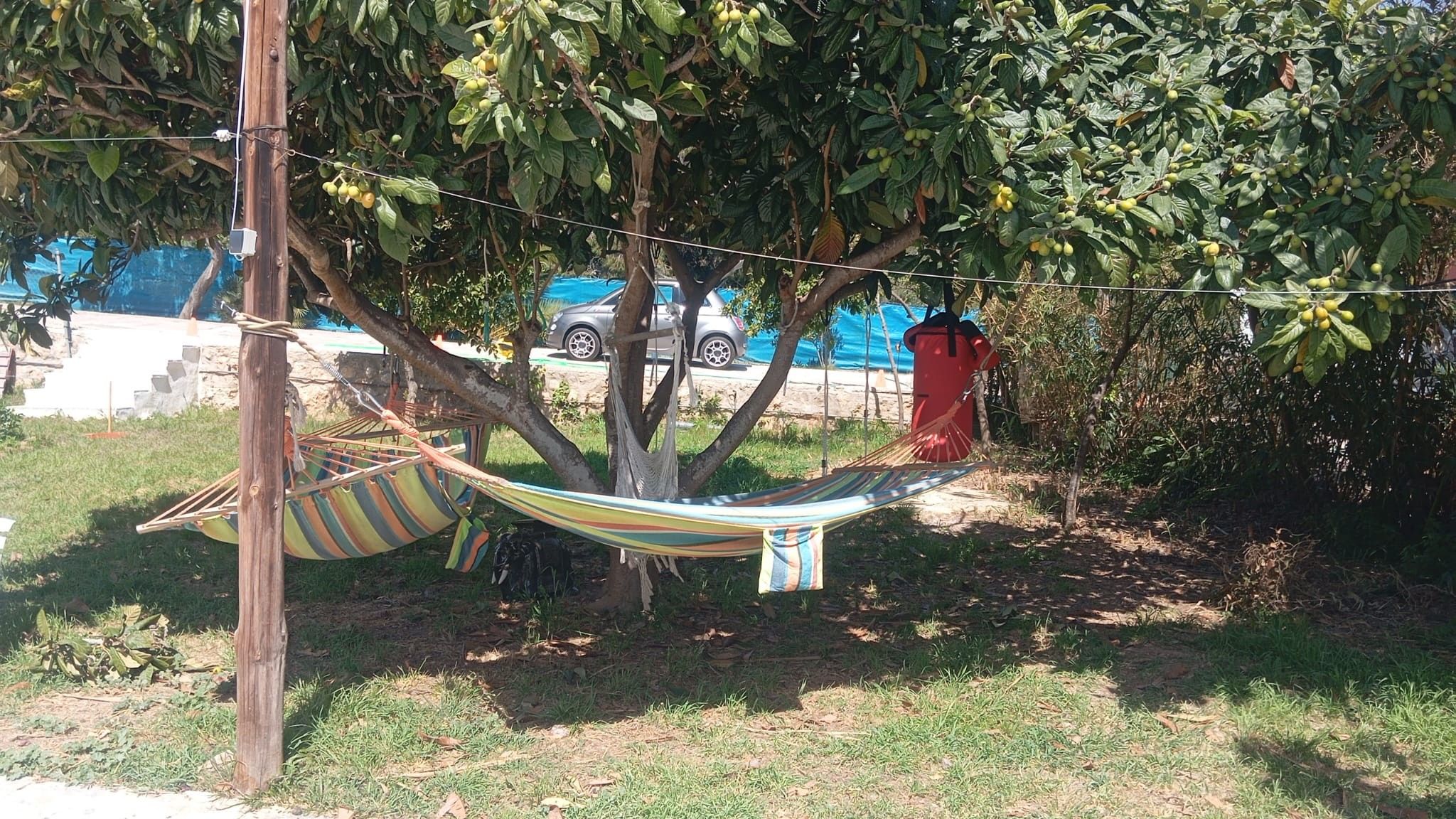 Una hamaca atada entre árboles en un área con césped, con un coche y un contenedor rojo al fondo.