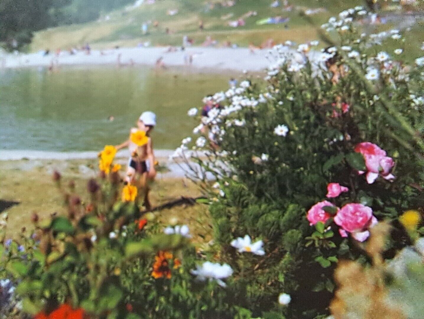 Une scène de plage avec des personnes et des fleurs.