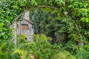 Apartamento | 3 dormitorios