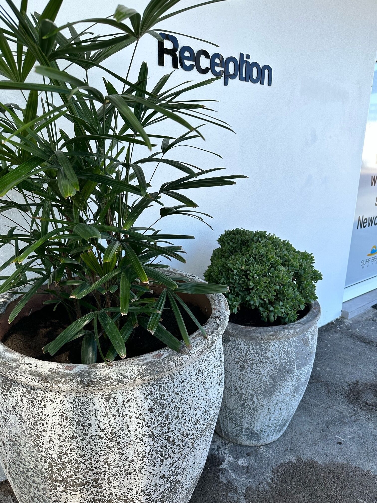 Un espace d’accueil avec un panneau indicateur, deux grands plants en pot et un petit arbuste.