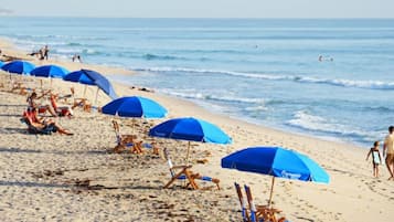 A beach with rows of blue umbrellas and beach chairs.