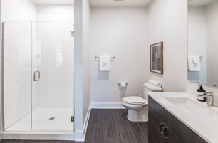 A modern bathroom with a glass shower enclosure, a toilet, and a vanity with a mirror.