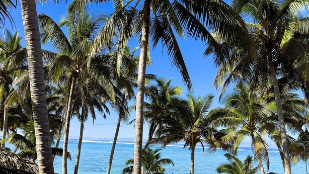 A beach with palm trees and a view of the ocean. - Te Rito Lagoon Villas (Rarotonga)